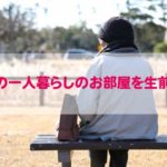 hitorigurashi-seizenseiri
