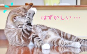 恥ずかしい